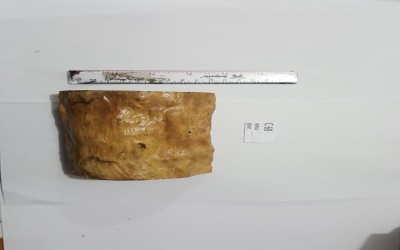 KAYU ARBOREAL UK M C 64 - C 69 UNTUK PEMELIHARAAN TARANTULA, REPTIL, SERANGGA, DLL